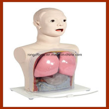 Medical Nursing Model, Nasale Fütterung und Magensaft-Simulator